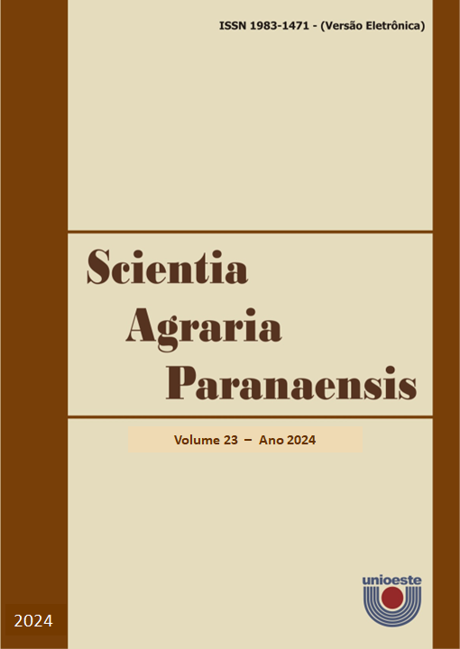 					Visualizar Vol 23 (2024)
				